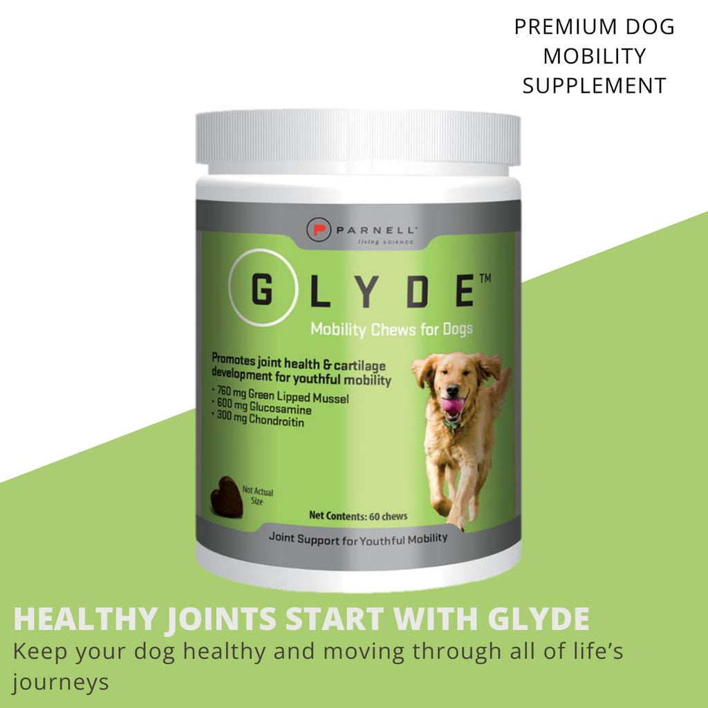 Hip & Joint Supplement for Dogs, 120 Chews W16999