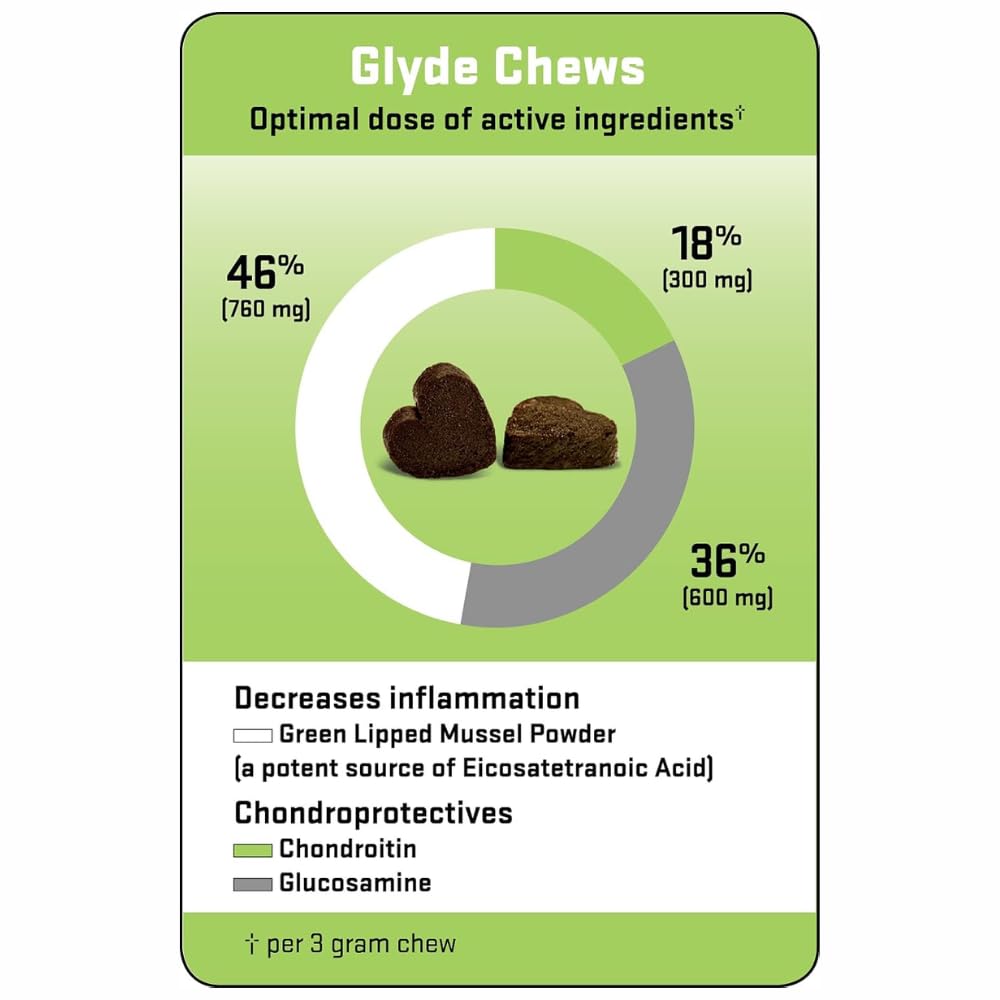 Hip & Joint Supplement for Dogs, 120 Chews W16999
