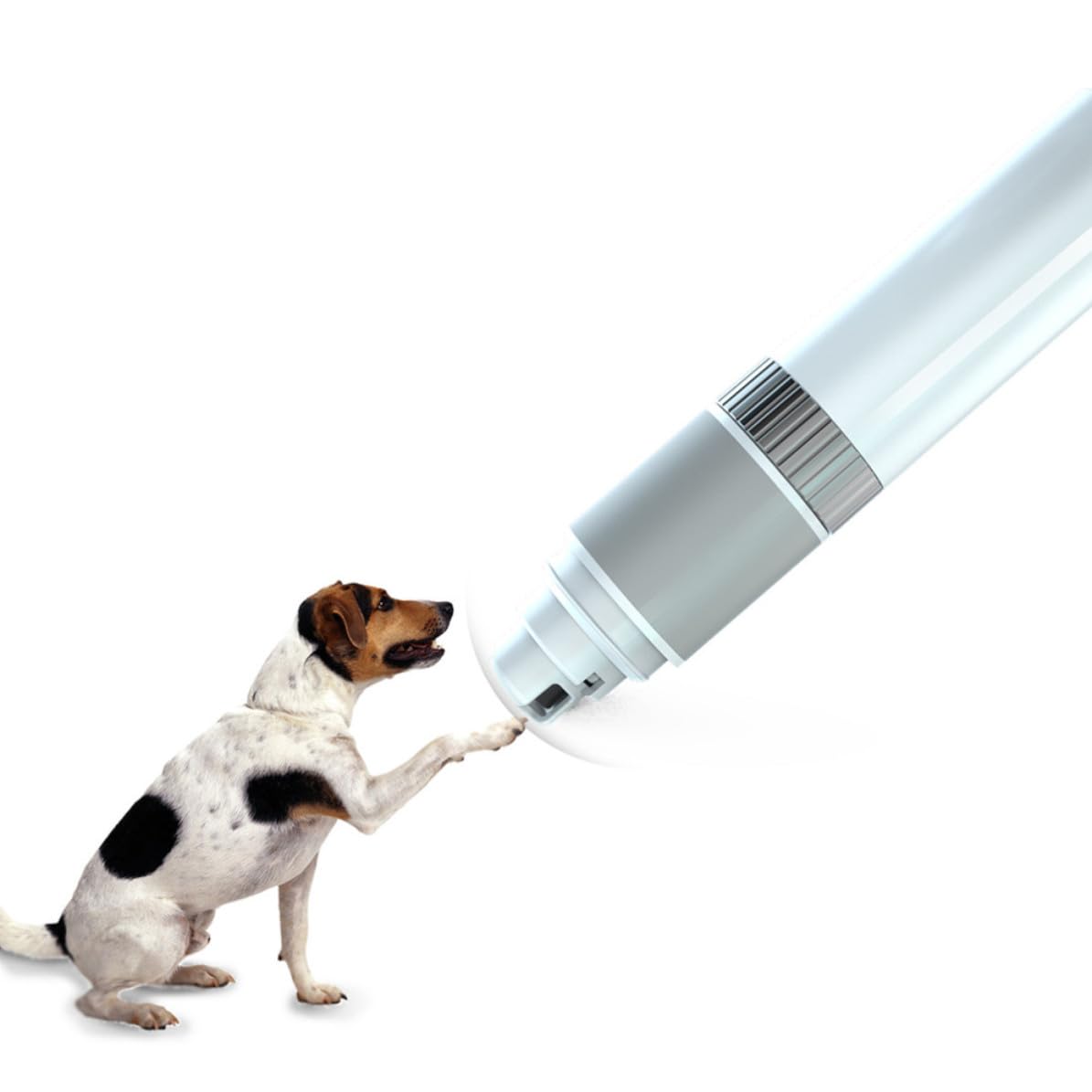 Electric Pet Nail Grinder with Adjustable Speed White R56236
