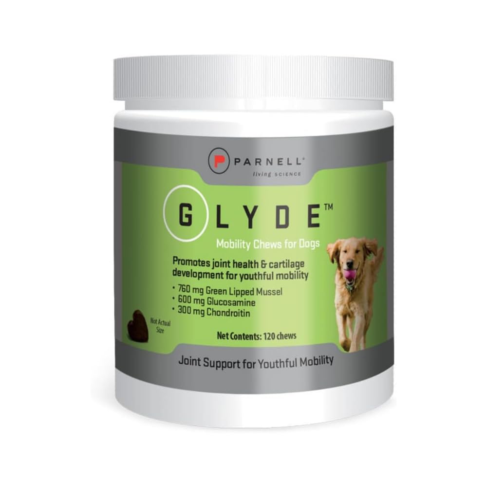 Hip & Joint Supplement for Dogs, 120 Chews W16999