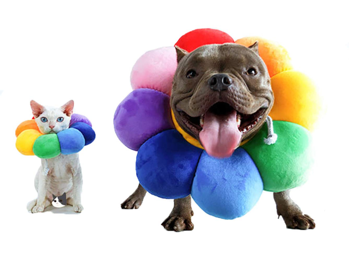 Adjustable Soft Recovery Collar for Pets P8054