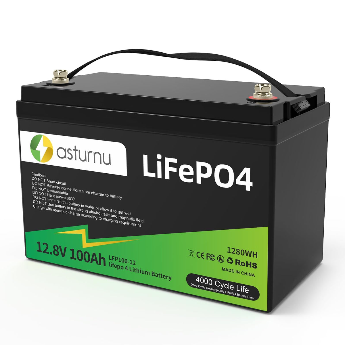 12V 100Ah LiFePO4 Lithium Battery, Group 31 Y9557