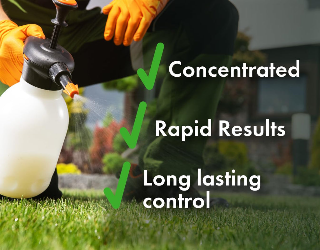 Concentrated Broad Spectrum Lawn Weed Killer R123957