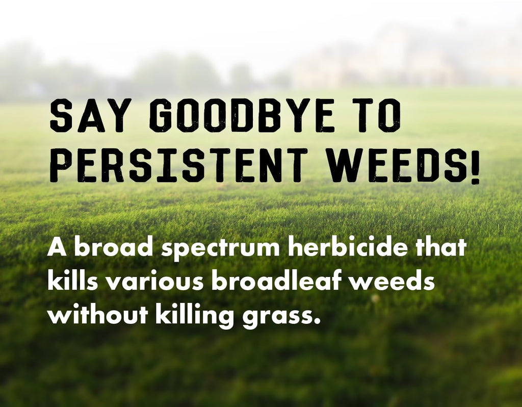 Concentrated Broad Spectrum Lawn Weed Killer R123957