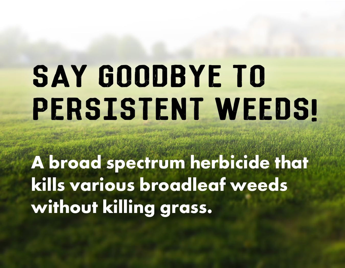 Concentrated Broad Spectrum Lawn Weed Killer R123957