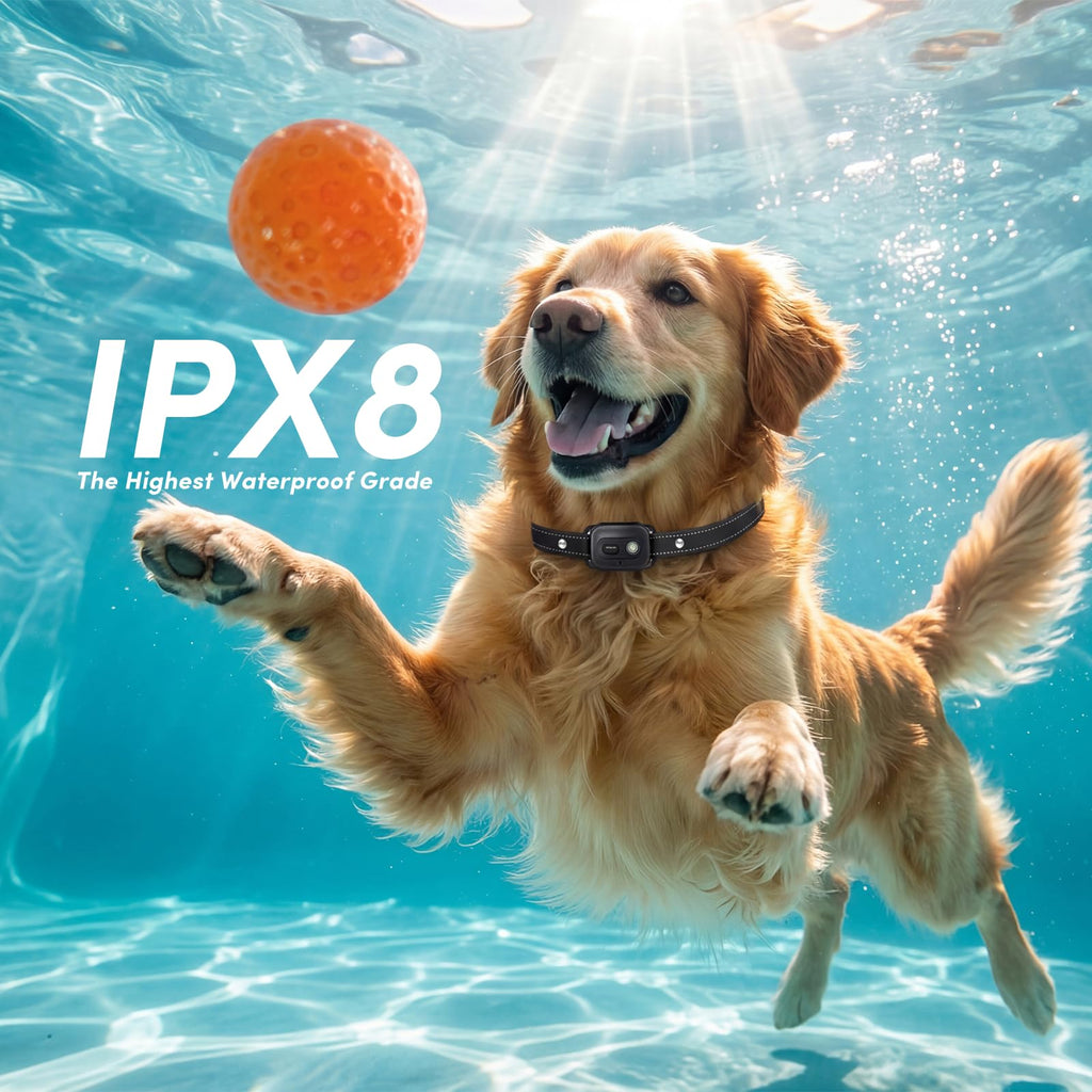 Shock Collar for 2 Dogs, 4 Modes, IPX8 Waterproof Dog Training Collar W627