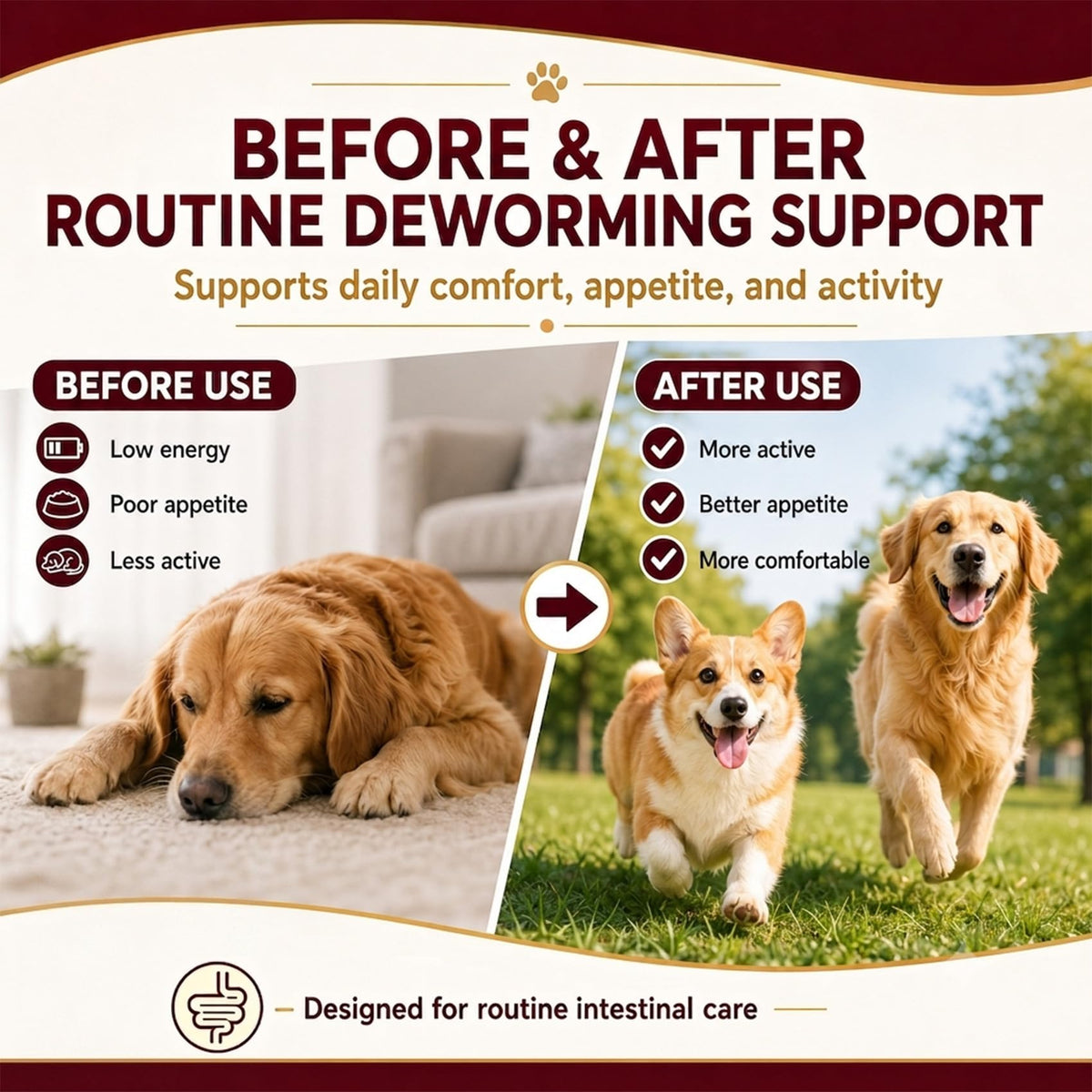 Dog & Puppies Dewormer Tablets B4418