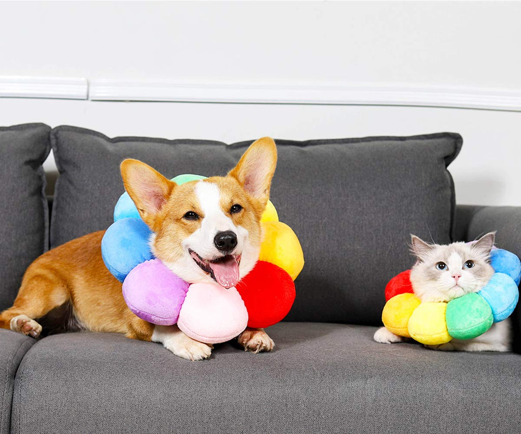 Adjustable Soft Recovery Collar for Pets P8054