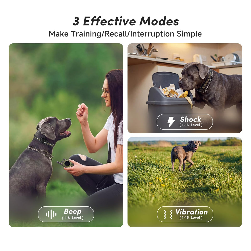 Shock Collar for 2 Dogs, 4 Modes, IPX8 Waterproof Dog Training Collar W627