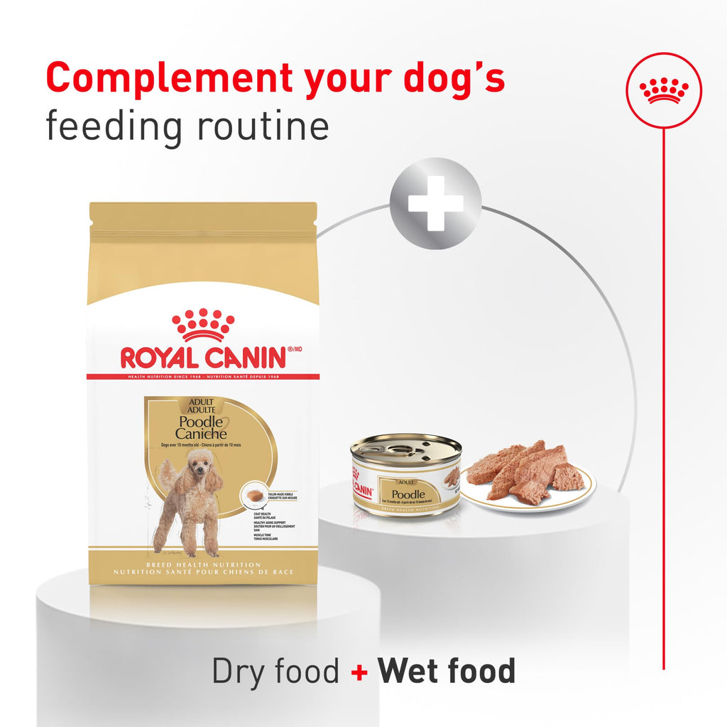 Dry Dog Food 10 lb Bag F912467