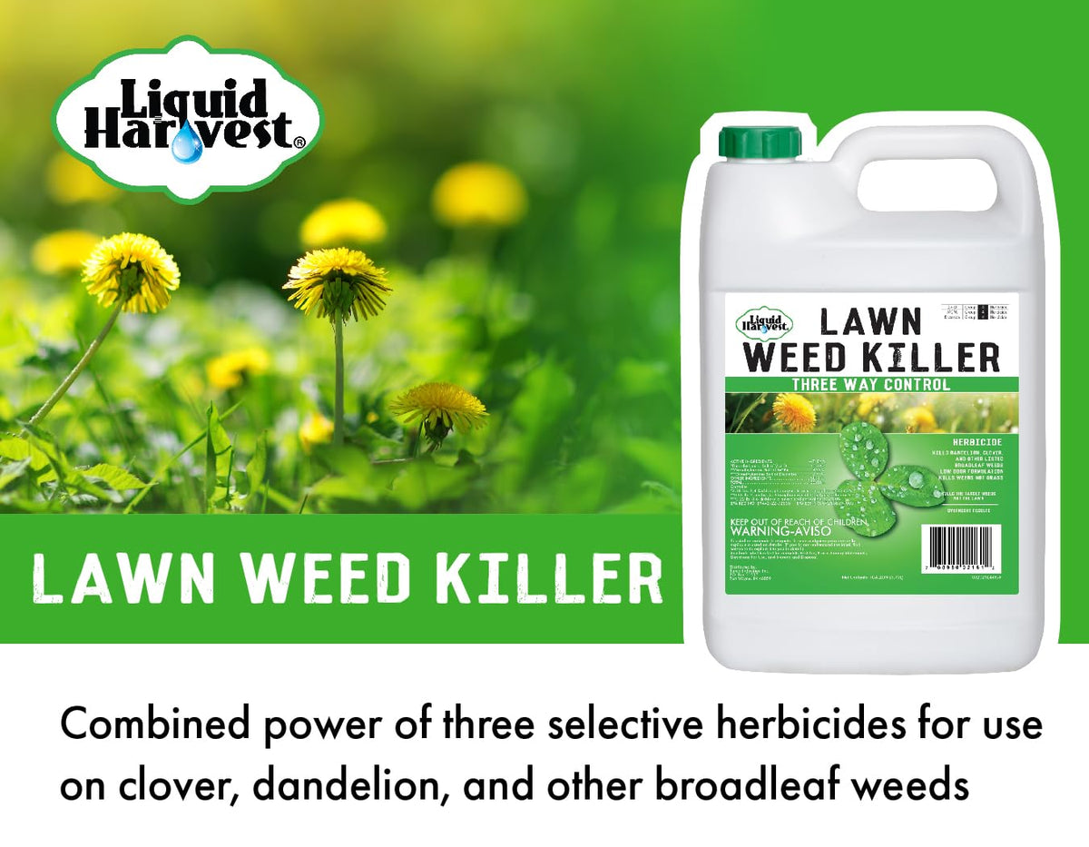 Concentrated Broad Spectrum Lawn Weed Killer R123957