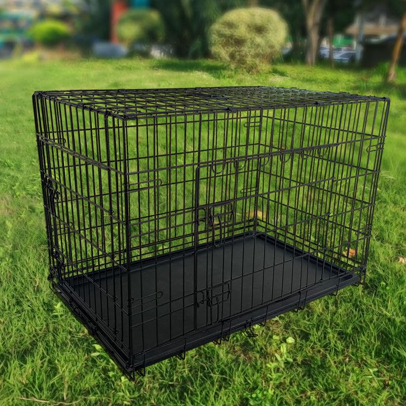 24-Inch Folding Metal Dog Crate with Removable Tray N61794