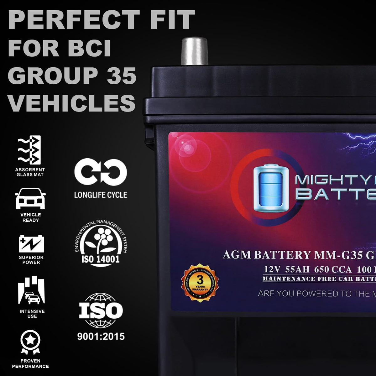 12V 55Ah AGM Replacement Battery Y156744