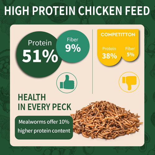 20LB Dried Mealworms F571