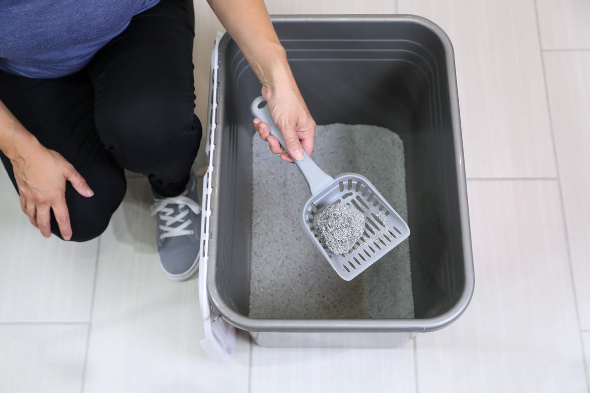 Enclosed Cat Litter Box with Hinged Lid E3652