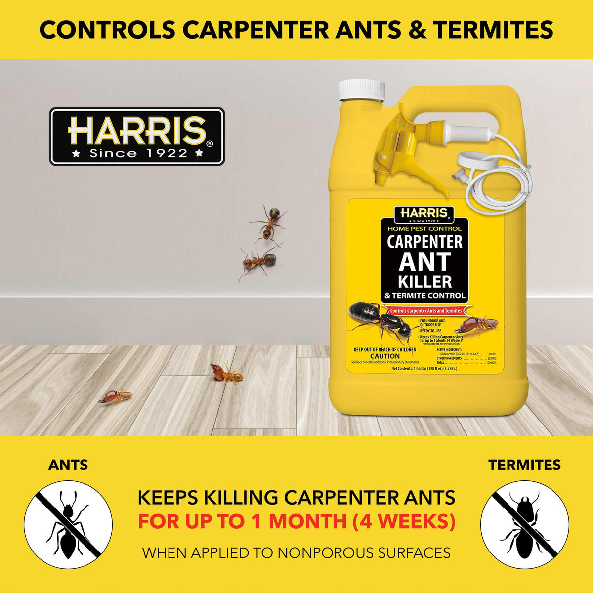 Carpenter Ant Killer & Termite Control Treatment 128 Oz C35449