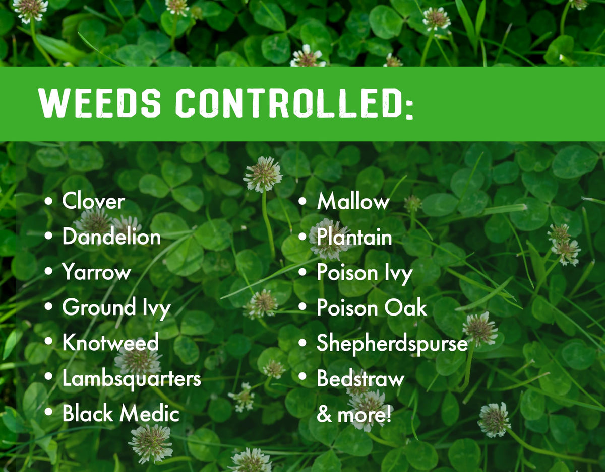 Concentrated Broad Spectrum Lawn Weed Killer R123957