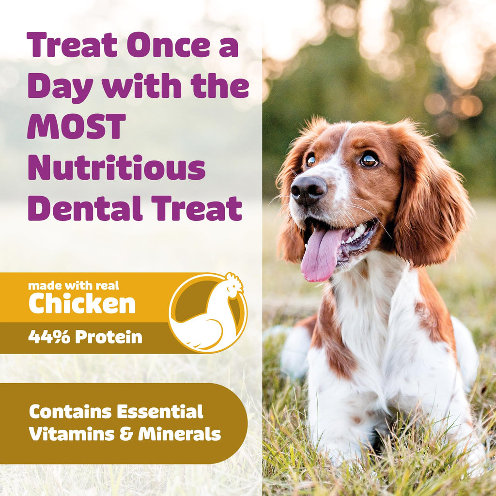 Chicken Dental Dog Treats 36oz 27 Count M362680