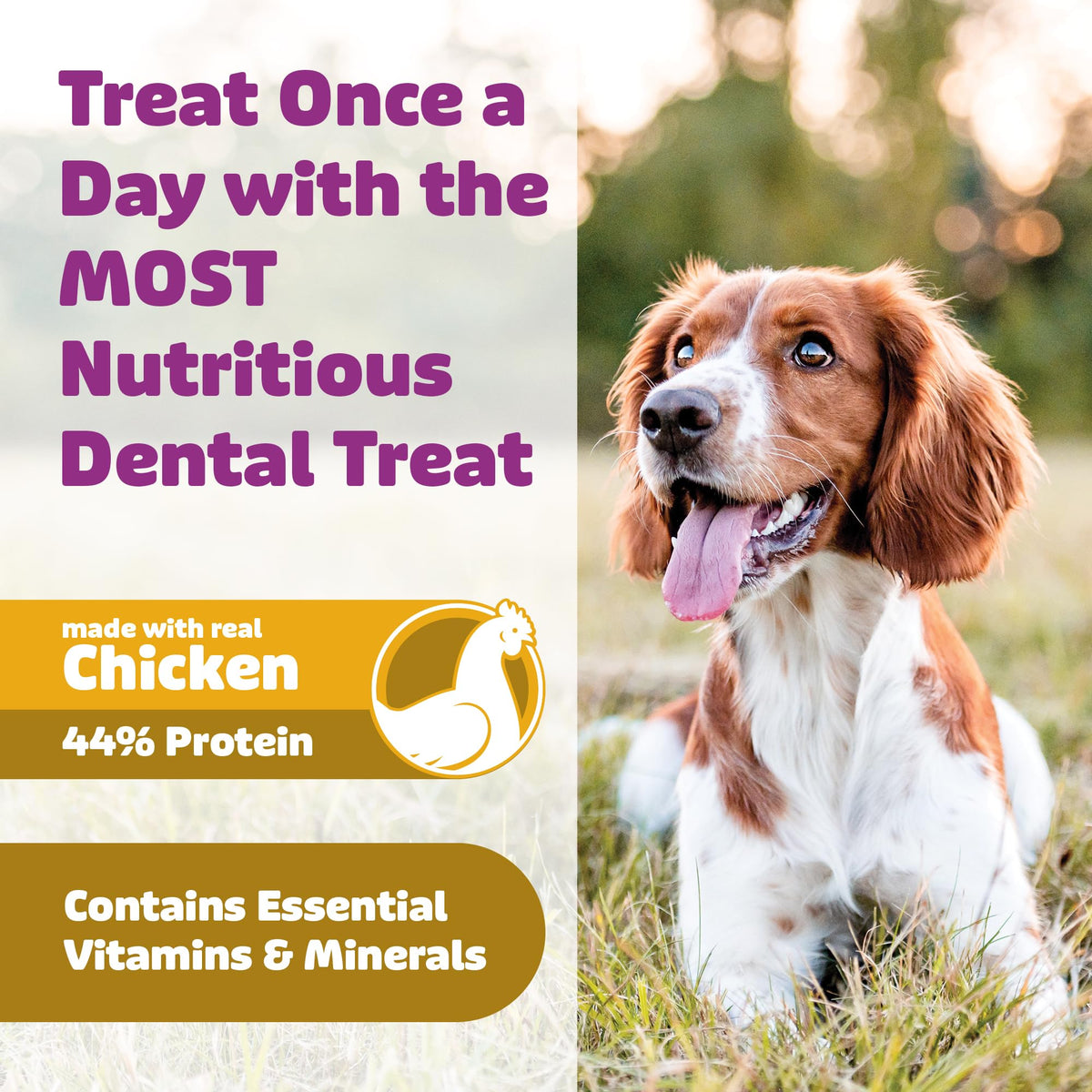 Chicken Dental Dog Treats 36oz 27 Count M362680