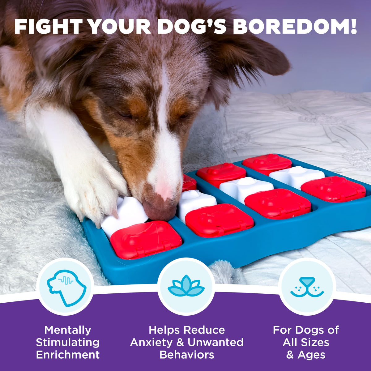 Dog Brick Dog Toy Treat Puzzle R55022