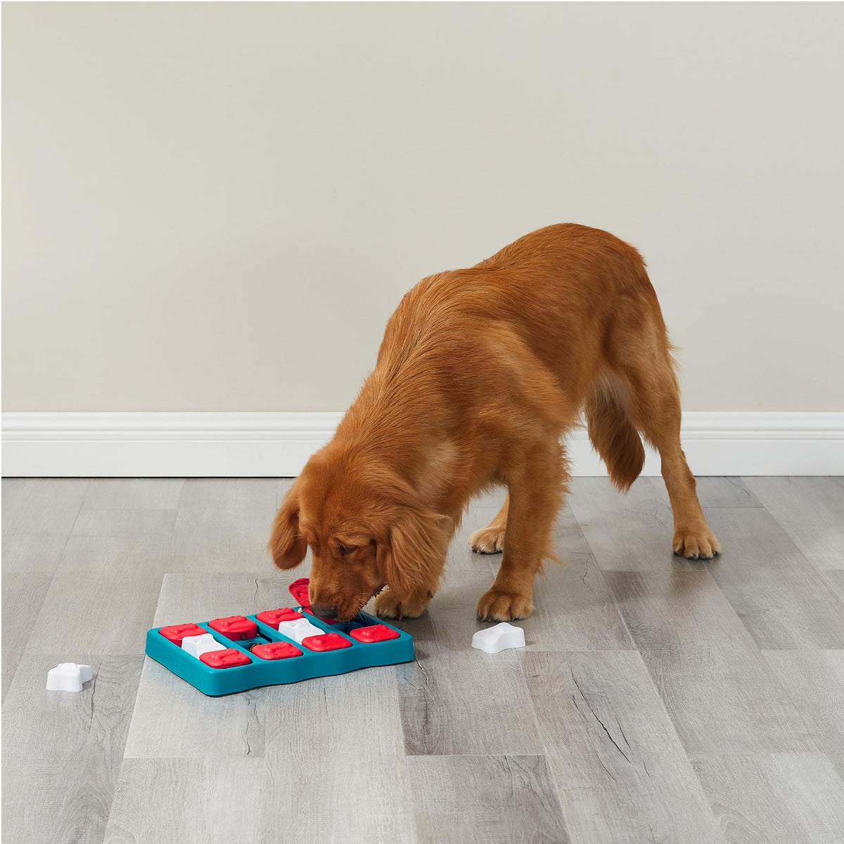 Dog Brick Dog Toy Treat Puzzle R55022