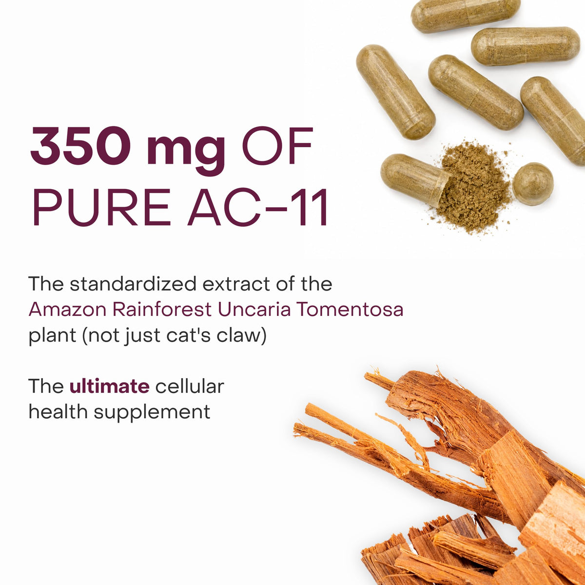 Telomere Length Supplement I262062