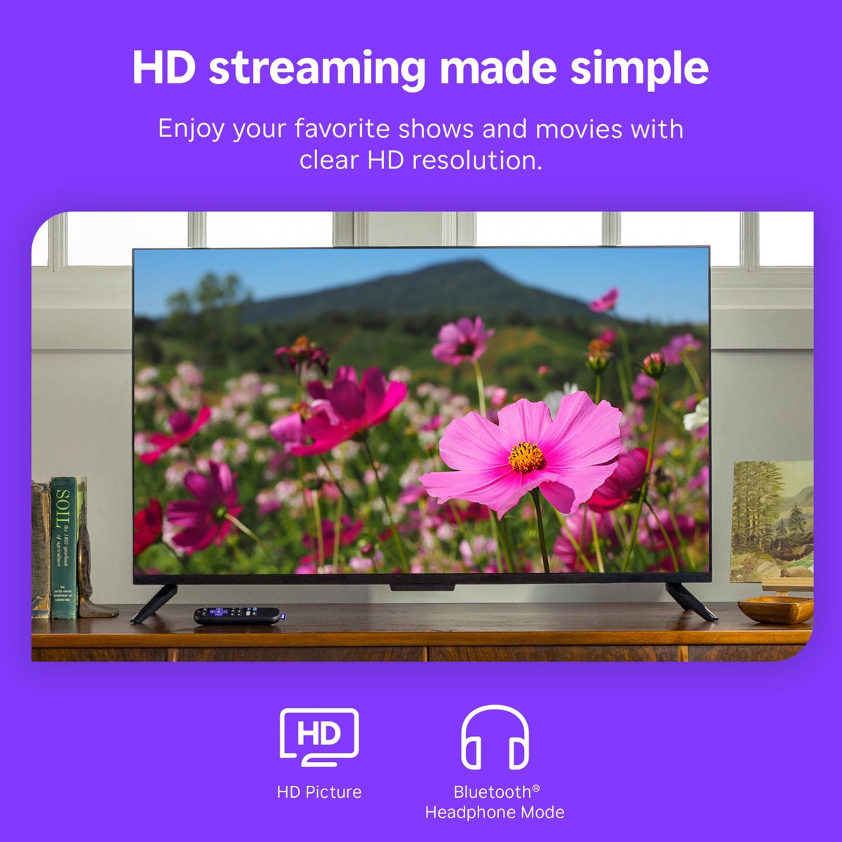 Streaming Stick HD with Voice Remote T48386