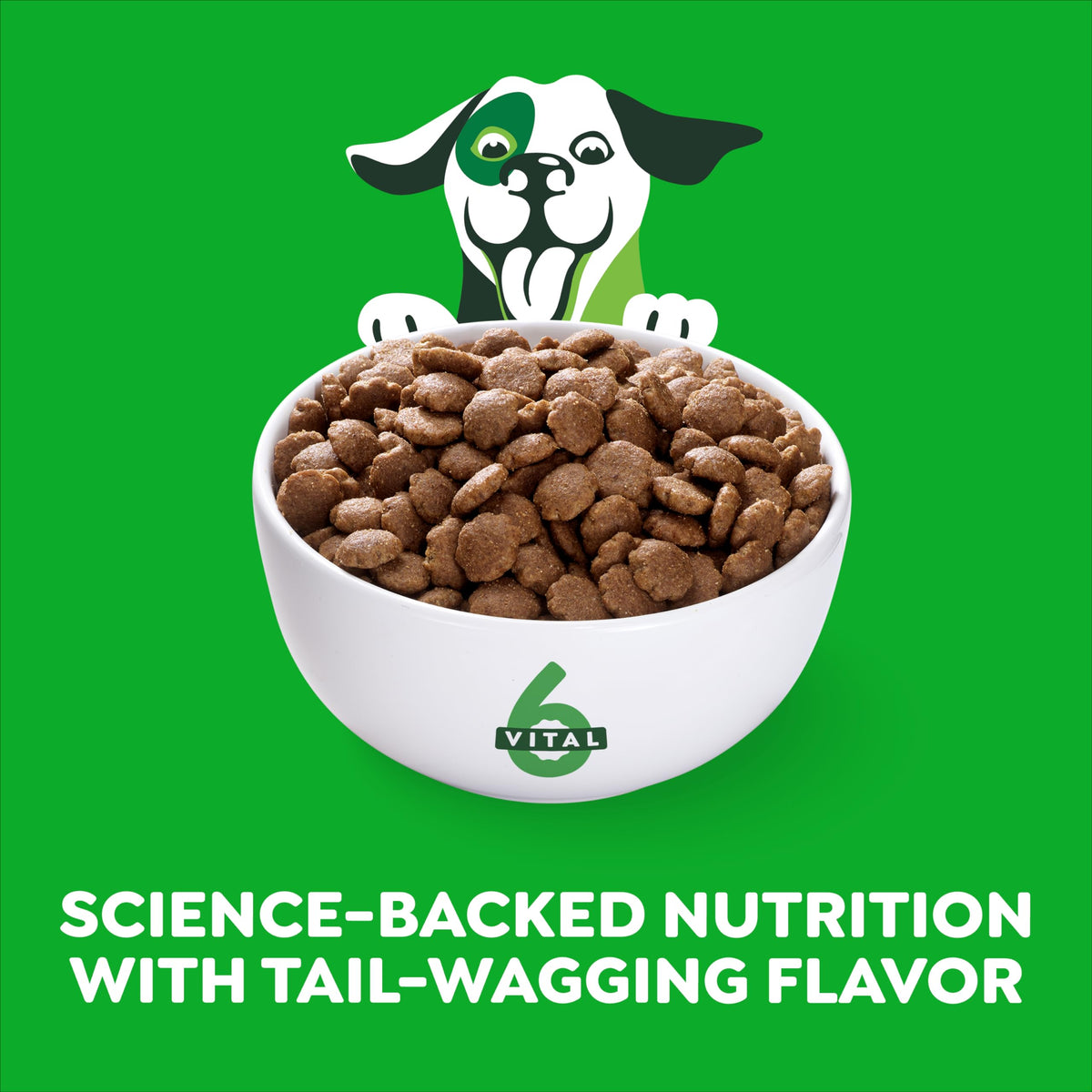 Chicken & Rice Dry Dog Food 15 lb X20416