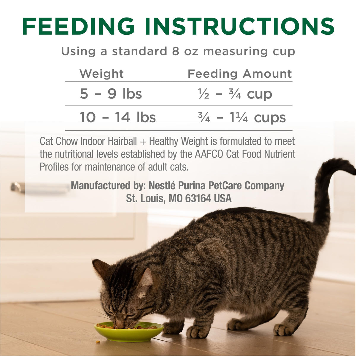 Indoor Dry Cat Food 6.3 lb. Bag P144