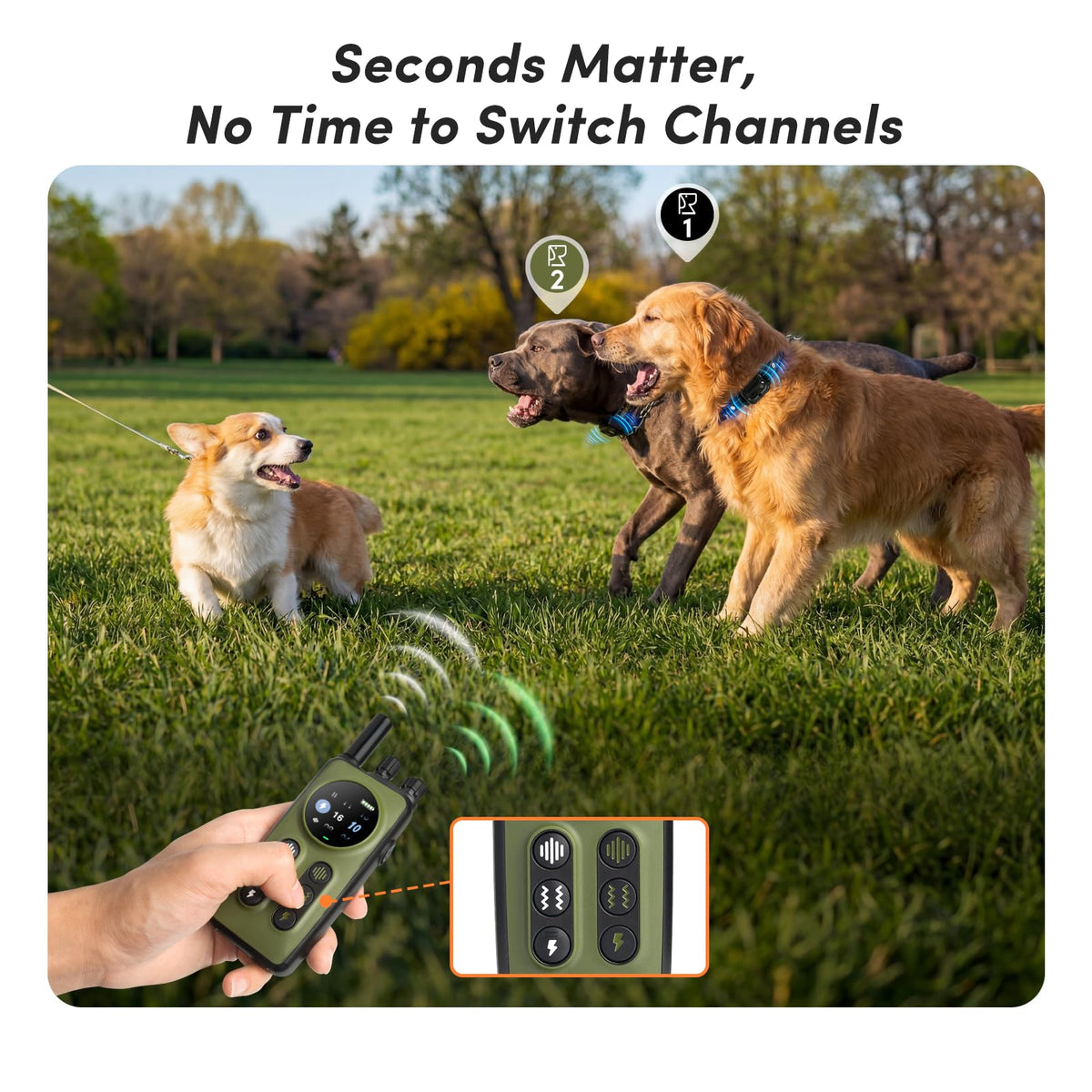 Shock Collar for 2 Dogs, 4 Modes, IPX8 Waterproof Dog Training Collar W627