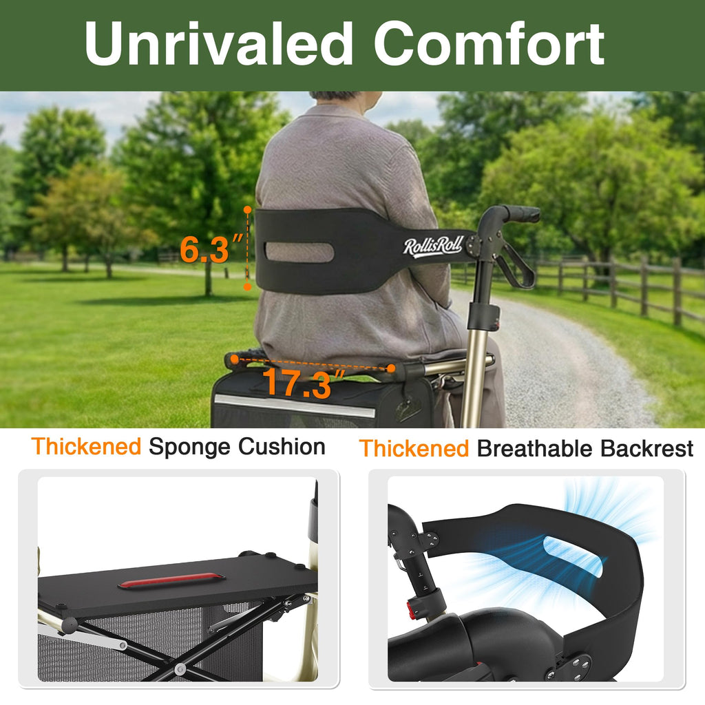 Foldable Aluminum Rollator Walker with Seat and 10" Wheels R4505
