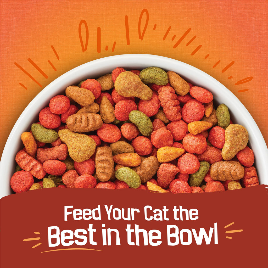 Dry Cat Food 16 lb Bag C374