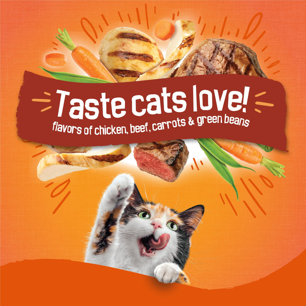 Dry Cat Food 16 lb Bag C374