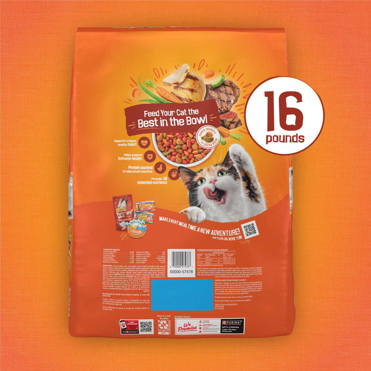Dry Cat Food 16 lb Bag C374