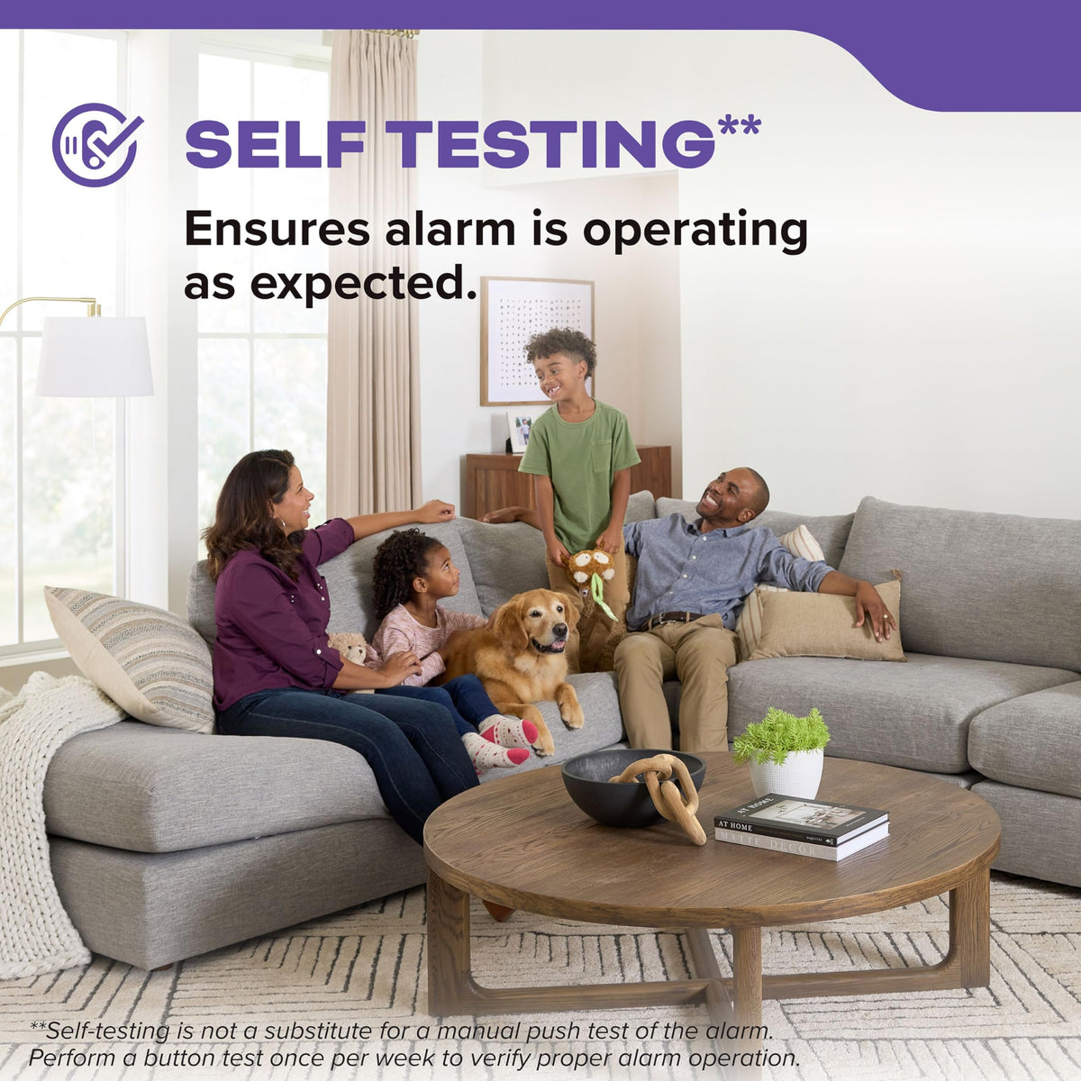 Smoke & CO Detector, AA Battery-Powered, 3 Pack L442836