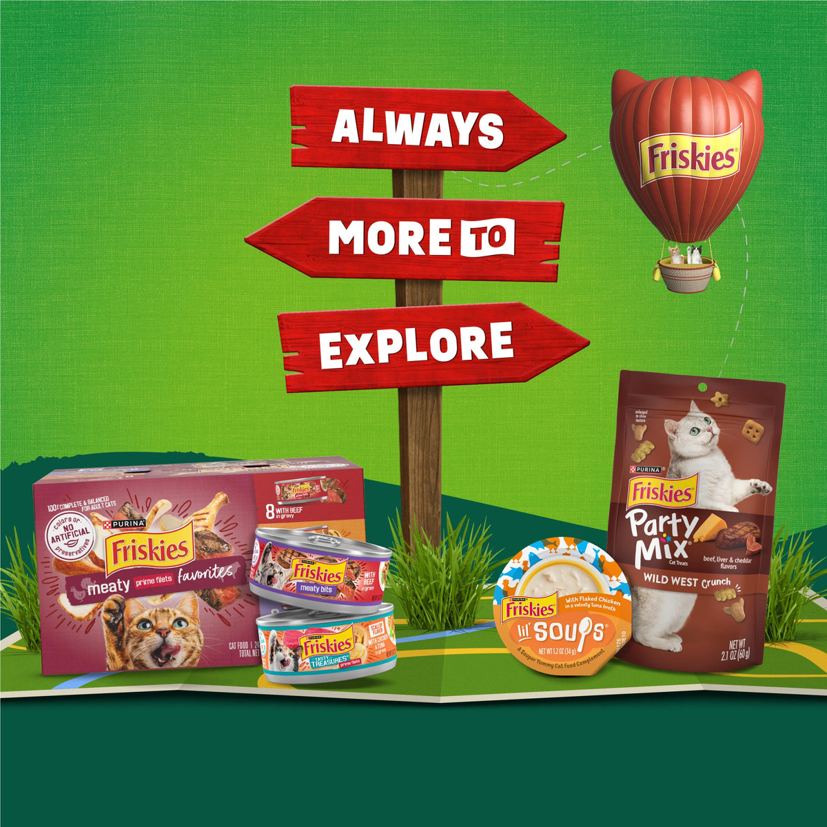 Dry Cat Food 16 lb Bag C374
